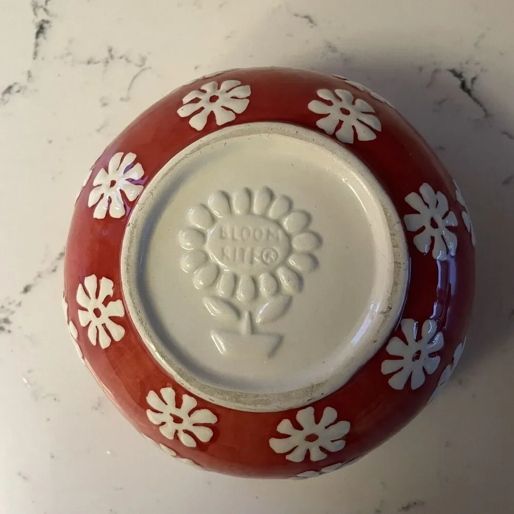 Bloom Rite Soup / Cereal Bowl Retro Vintage Groovy Flower Power Big Red Daisy‎
